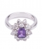 Amethyst Set 6 Ring (Exc. to Prec.)